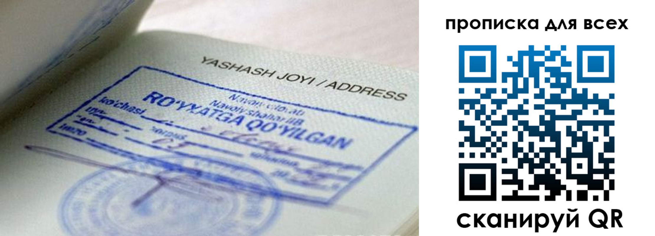 временная регистрация поиск в Воронежской области